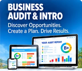 Business Audit
